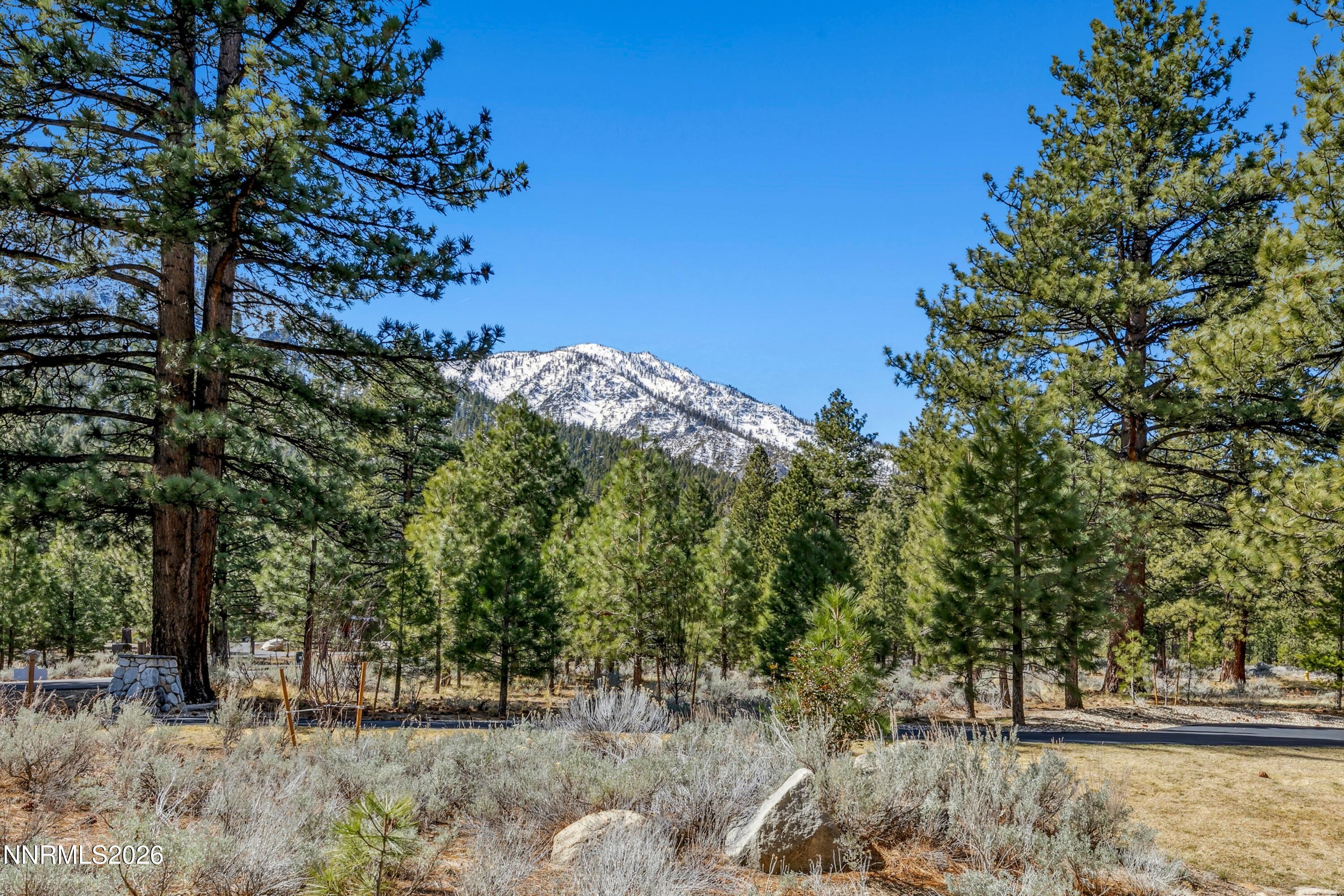 210 Sheridan Creek Court
