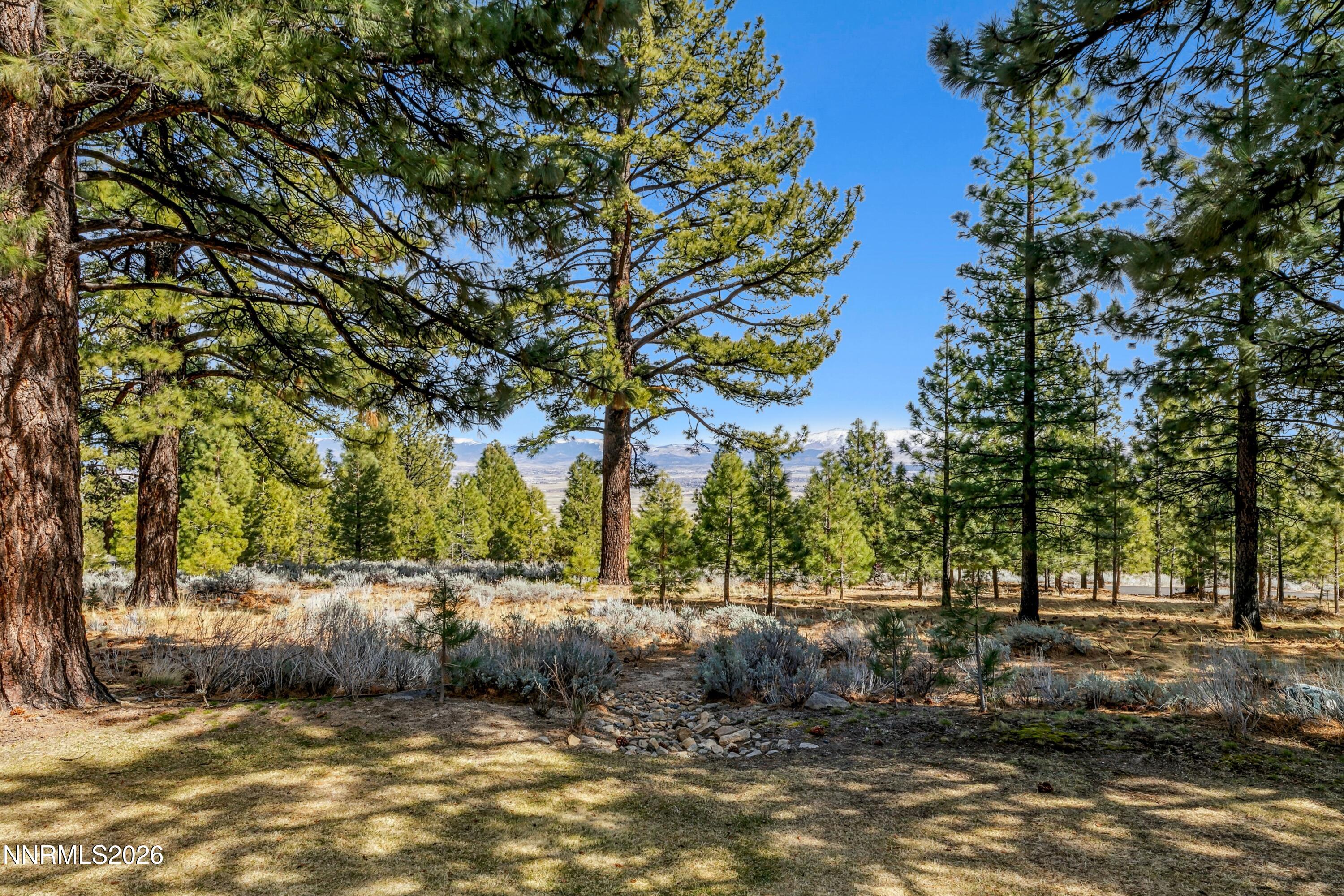 210 Sheridan Creek Court