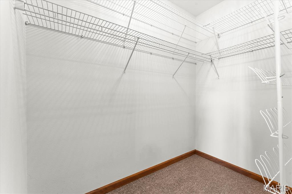 Walk-in closet with extensive wire shelving, beige carpet, and wood baseboards.