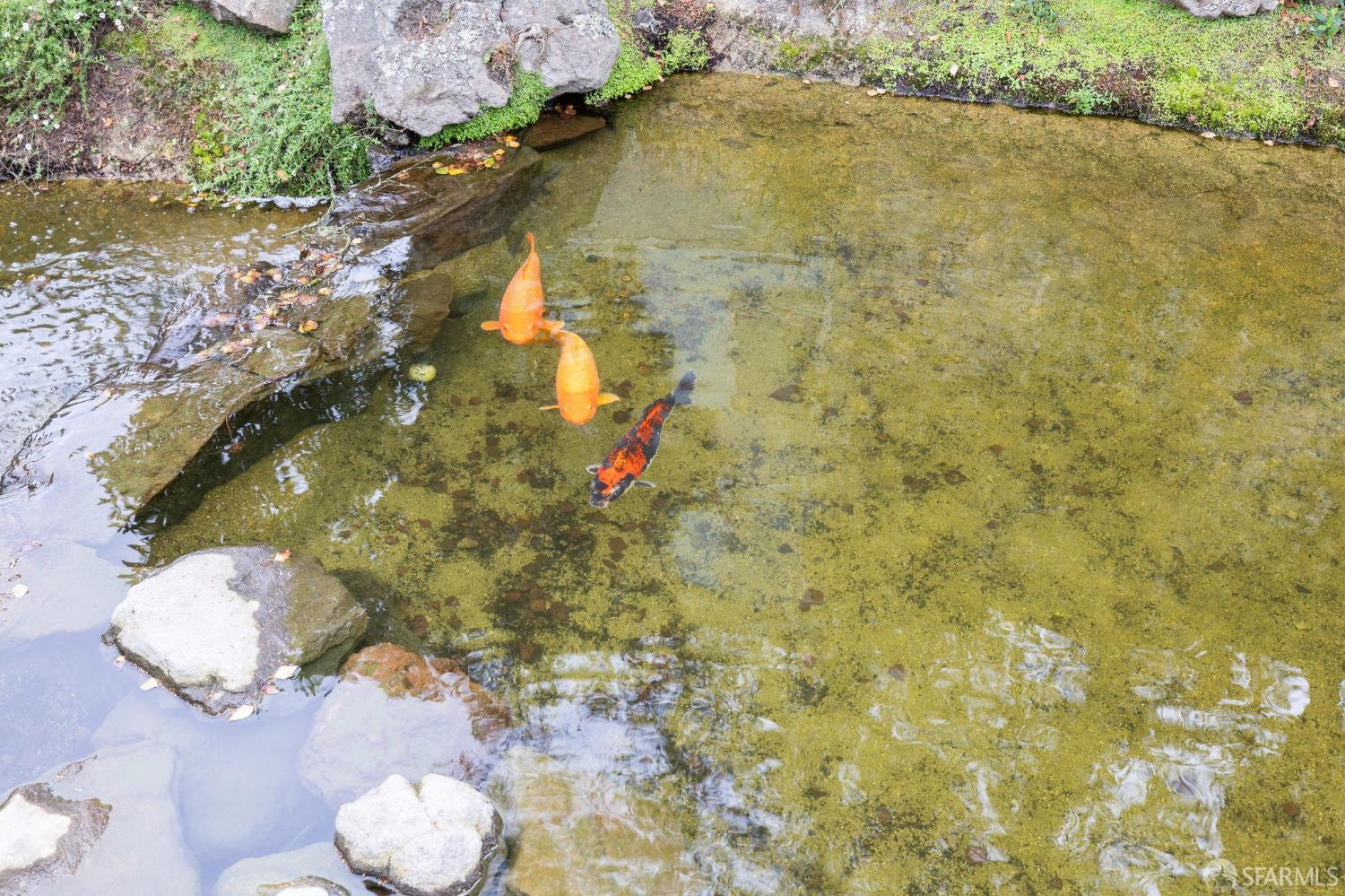 215 Red Rock Way # 204J