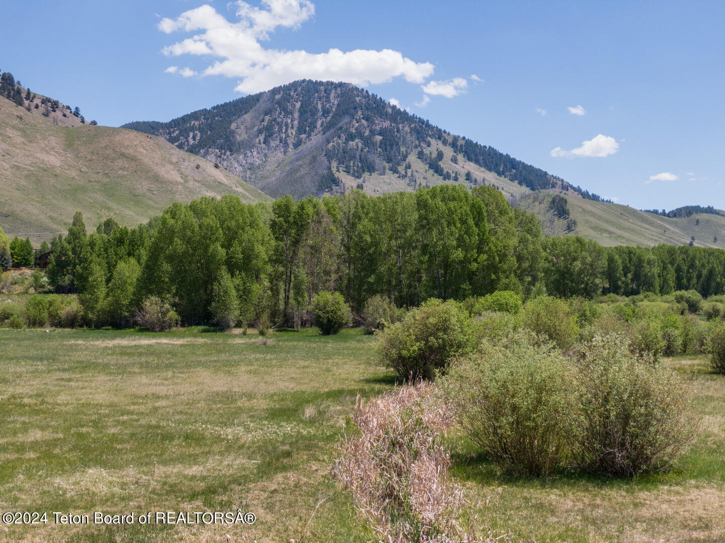 3900 S TRAIL Drive, Jackson