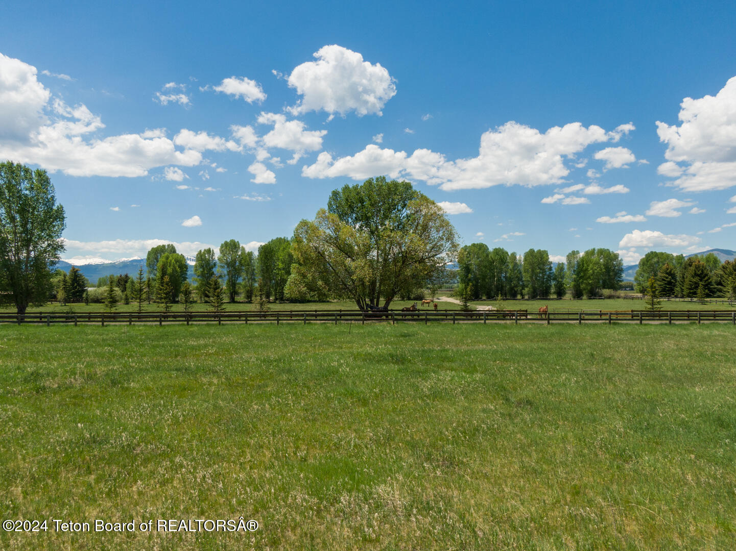 3900 S TRAIL Drive, Jackson