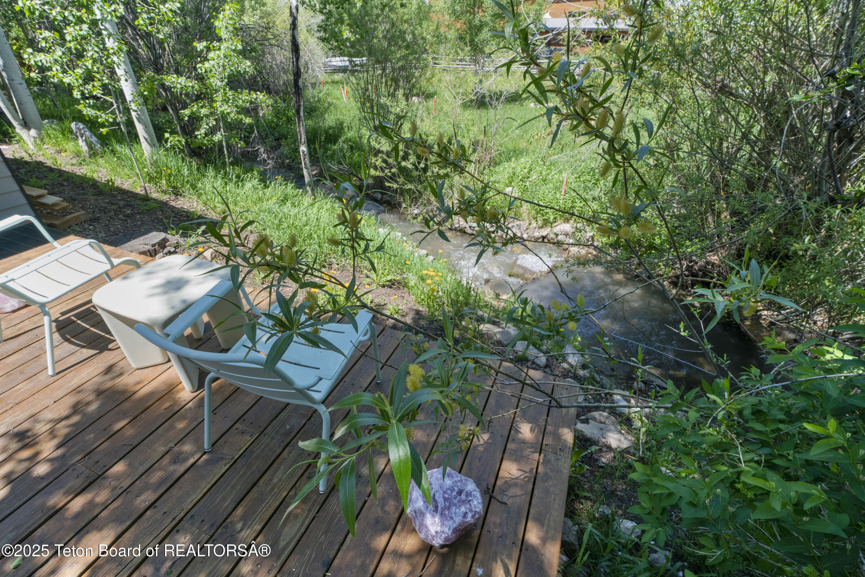 725 CACHE CREEK Drive