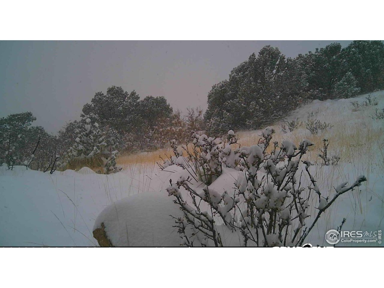 0 Cap Rock Rds Lot 4