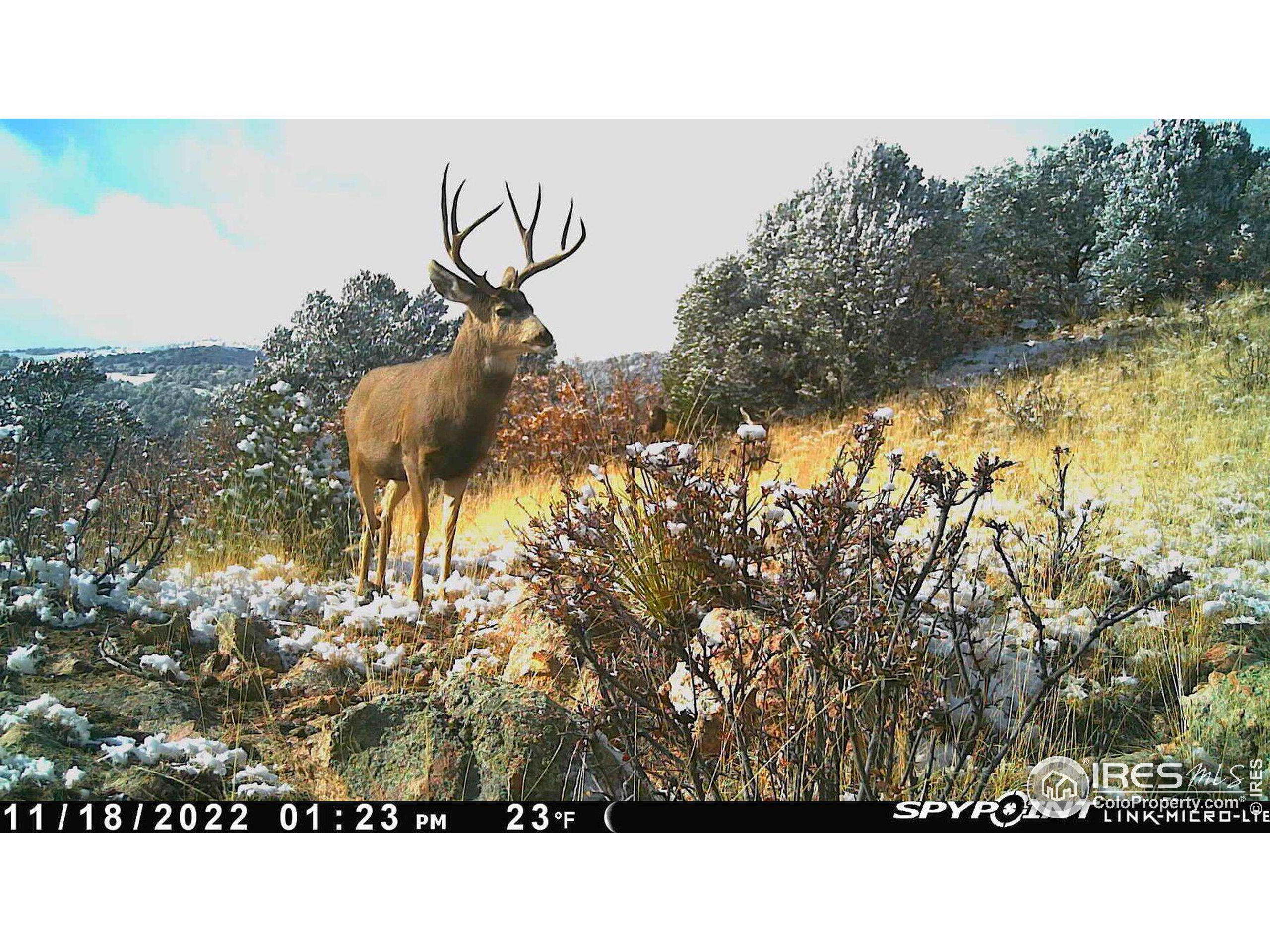 0 Cap Rock Rds Lot 4