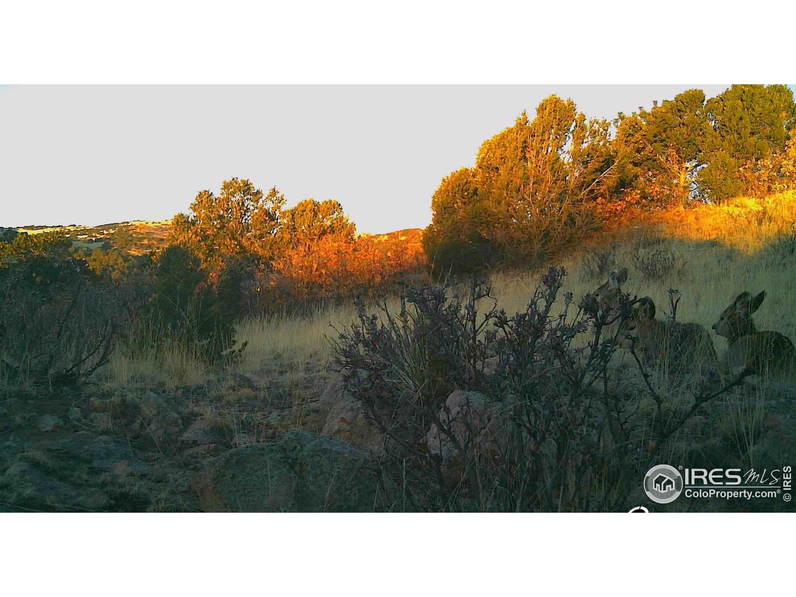 0 Cap Rock Rds Lot 4