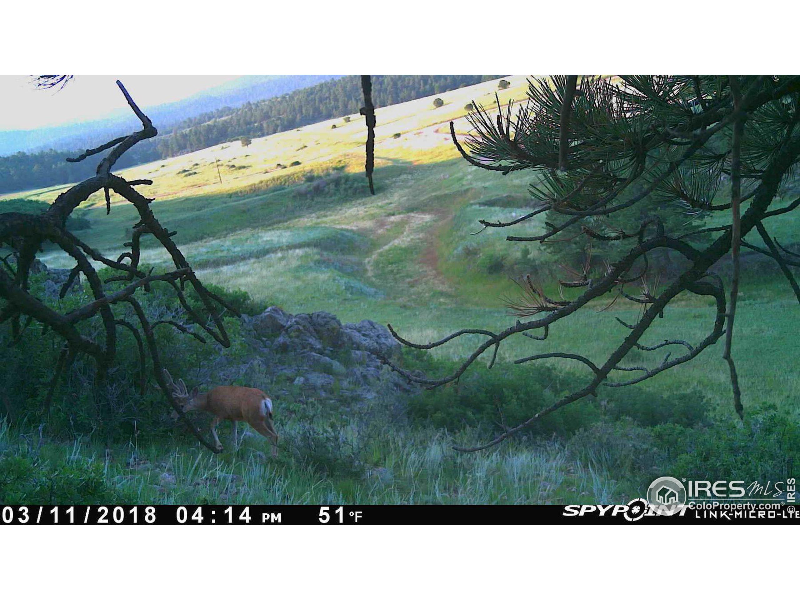 0 Cap Rock Rds Lot 4