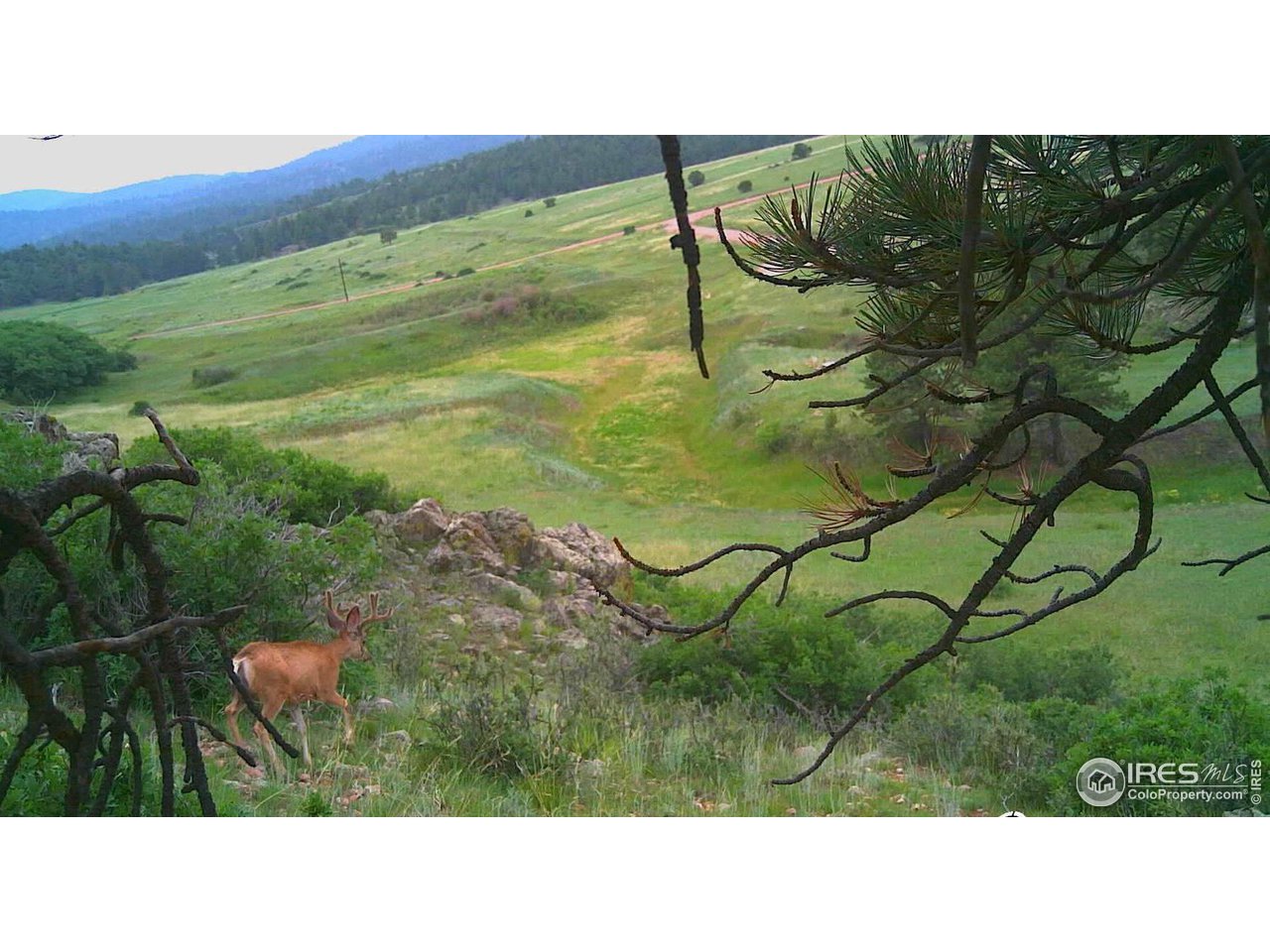 0 Cap Rock Rds Lot 4