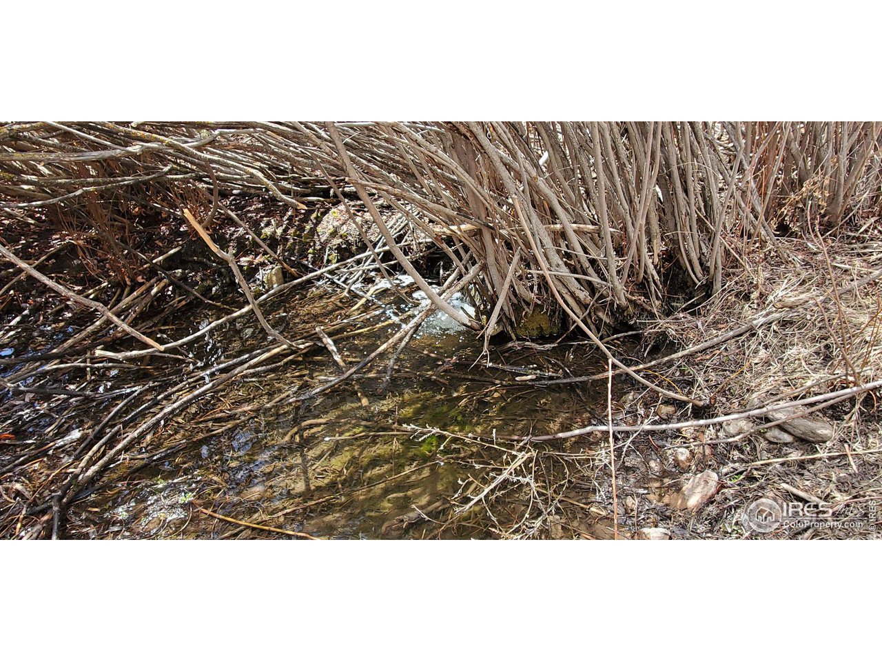 0 Cap Rock Rds Lot 4