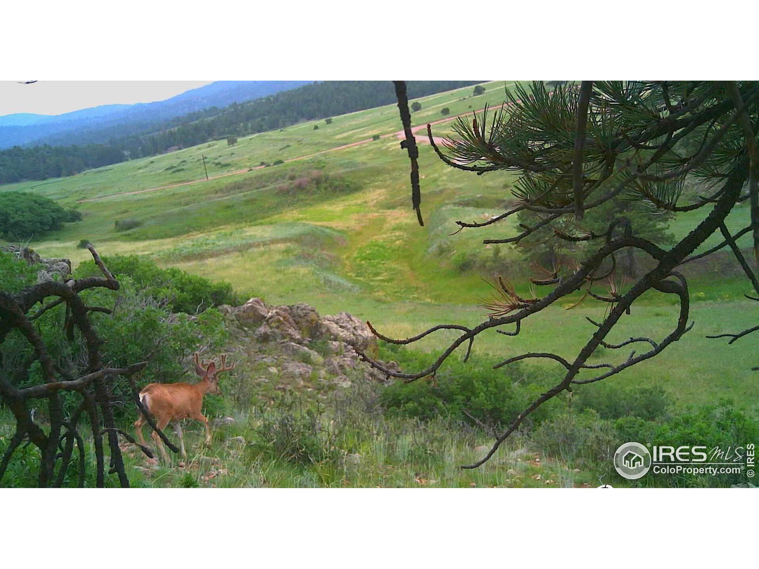 0 Cap Rock Rds Lot 4