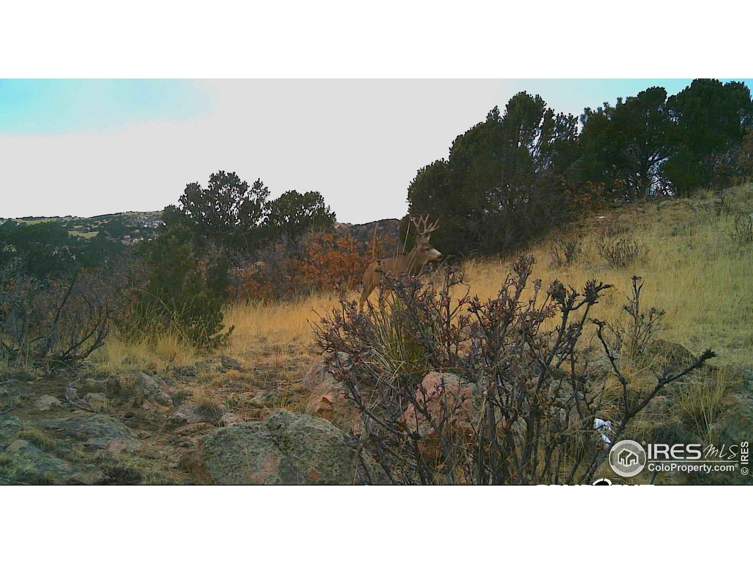 0 Cap Rock Rds Lot 4