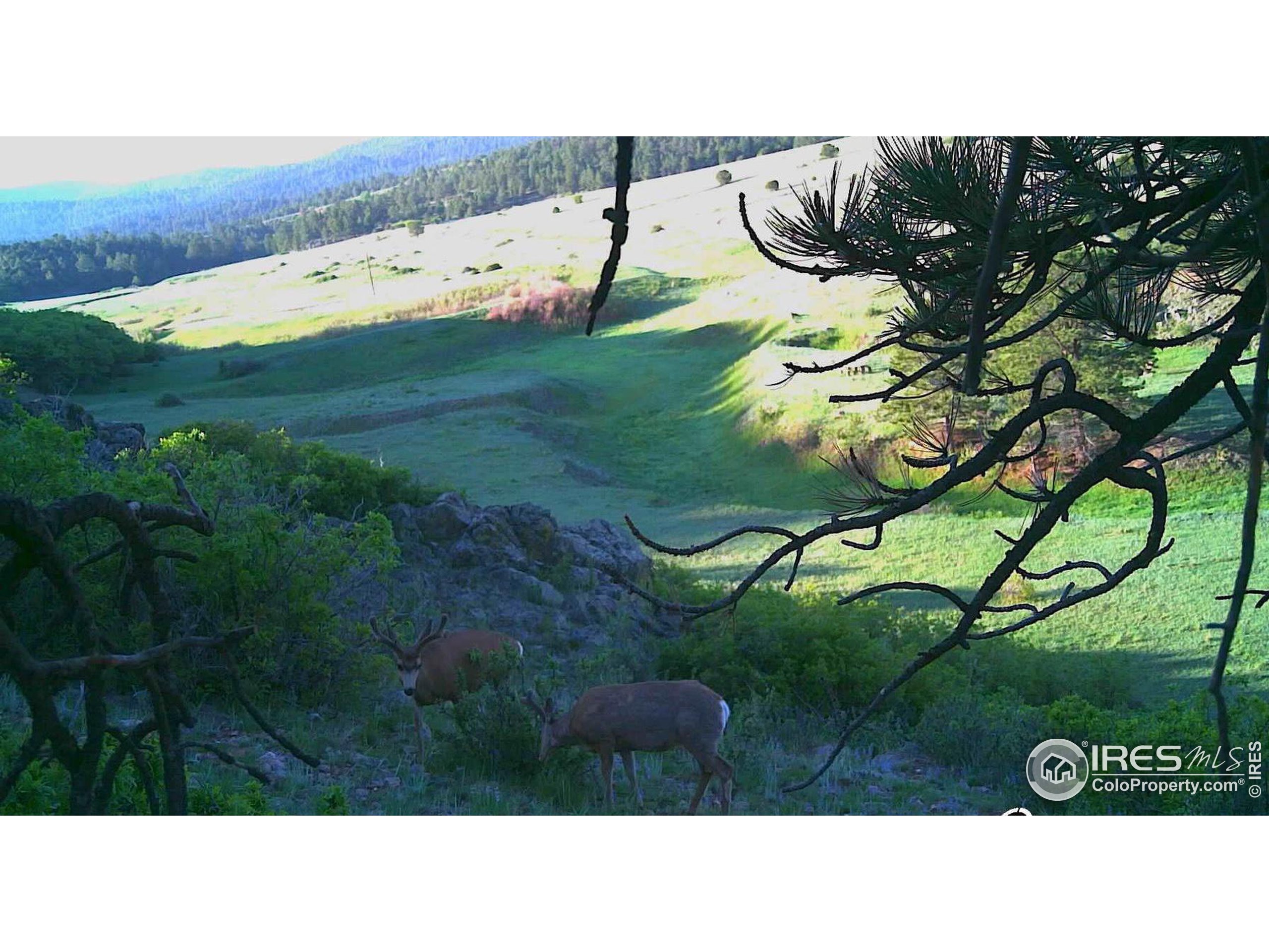 0 Cap Rock Rds Lot 4