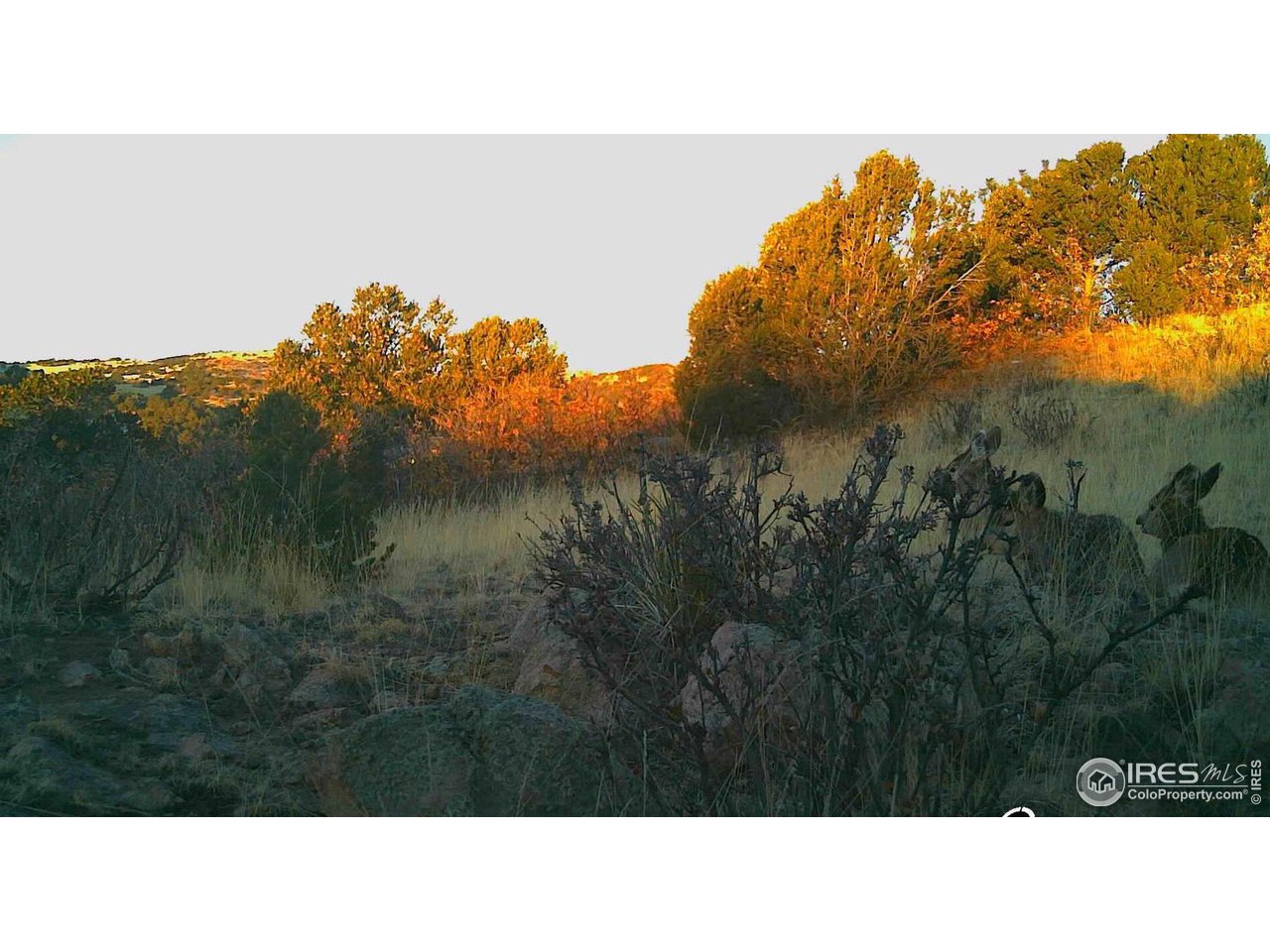 0 Cap Rock Rds Lot 4