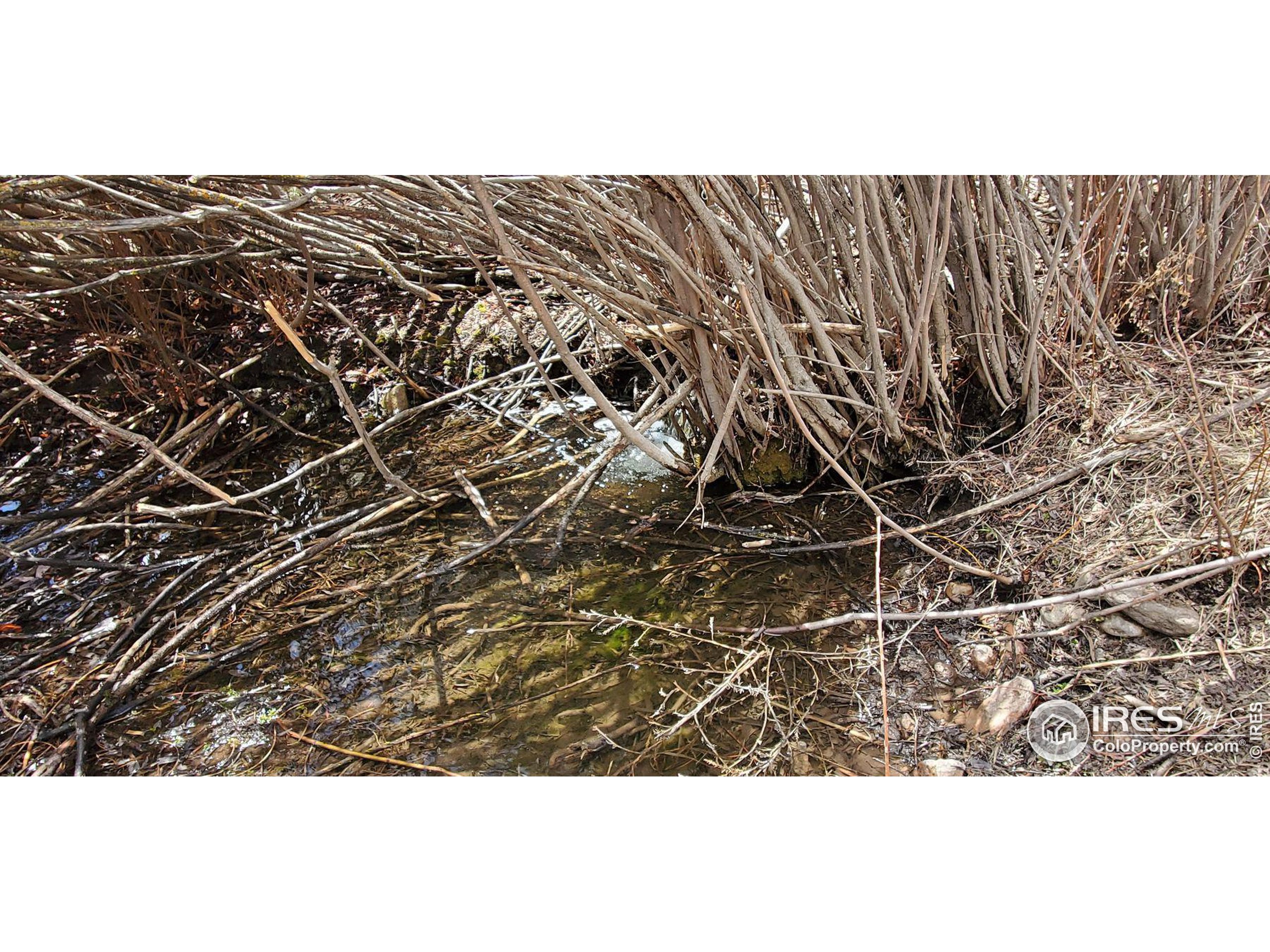 0 Cap Rock Rds Lot 4