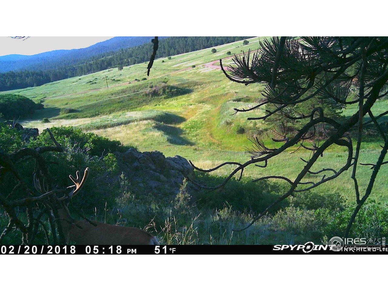 0 Cap Rock Rds Lot 4