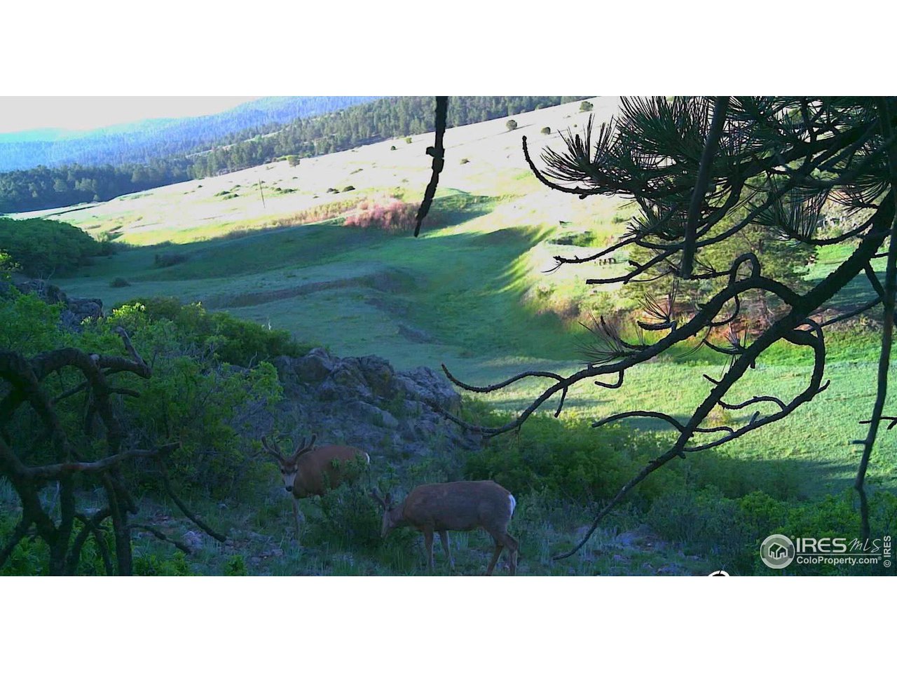 0 Cap Rock Rds Lot 4