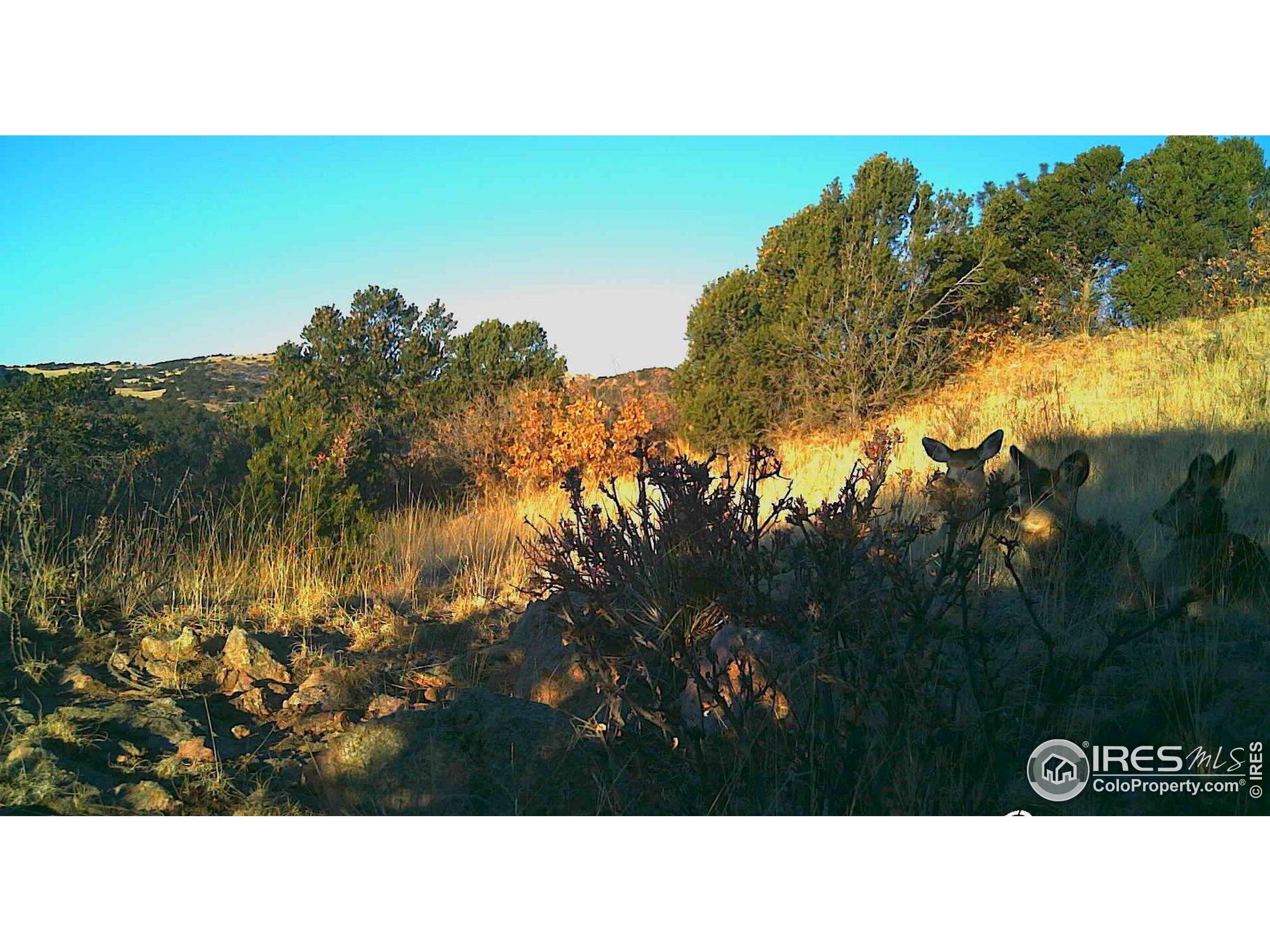 0 Cap Rock Rds Lot 4