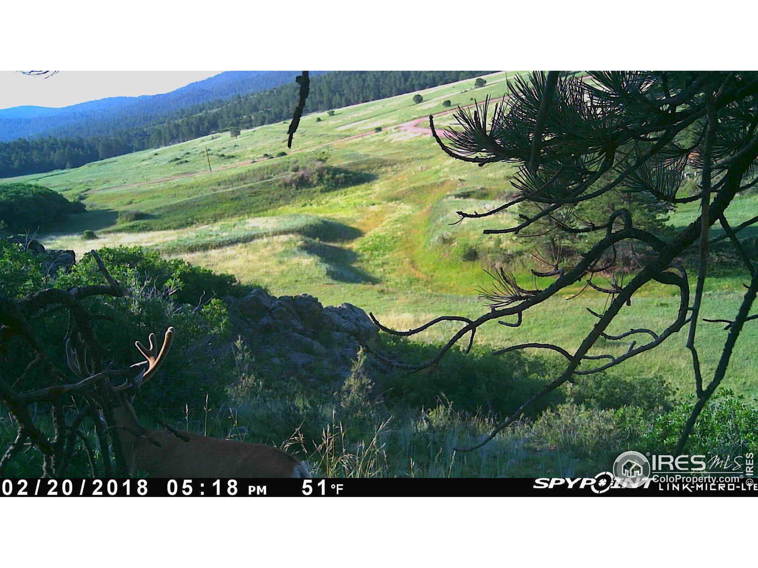 0 Cap Rock Rds Lot 4