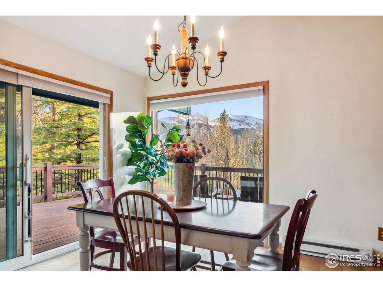 216 N Gold Flake Trce