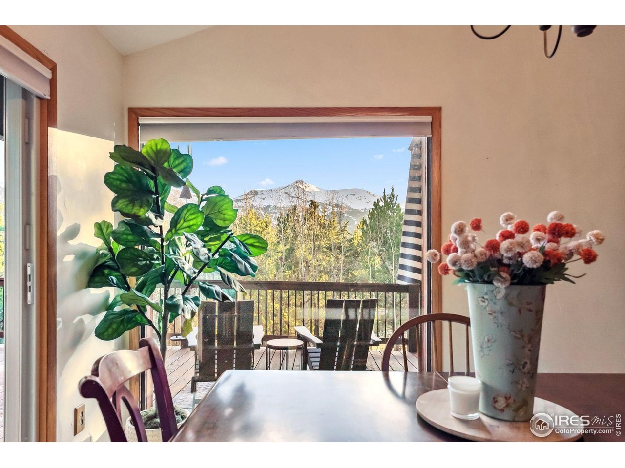 216 N Gold Flake Trce