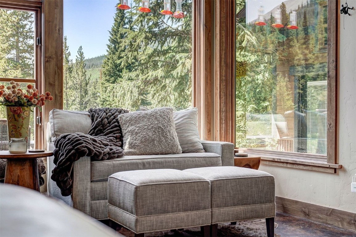 224 Wilderness DRIVE