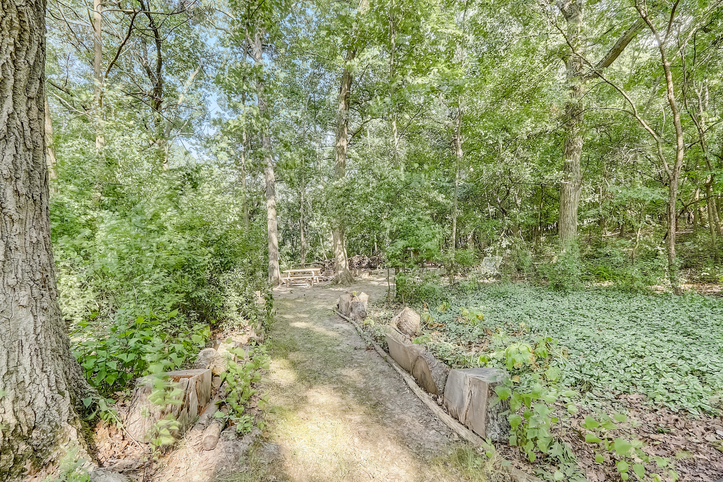 646 Cardiff Dr