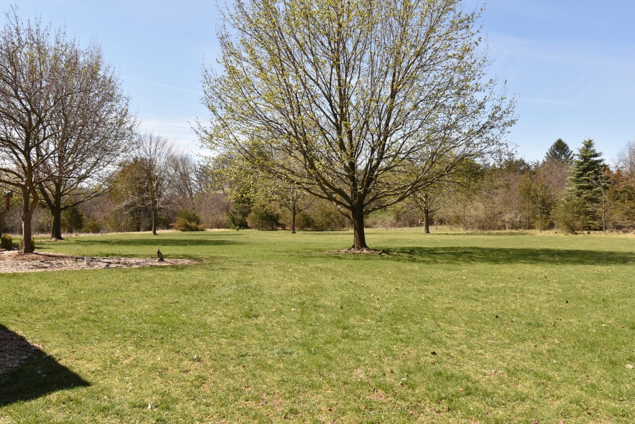 35490 S Opengate Ct