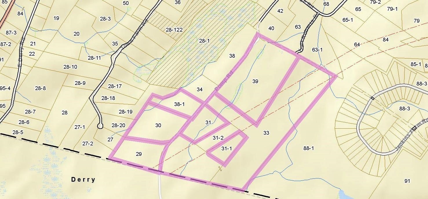 Parcel map of Derry with multiple lots outlined in bright pink.