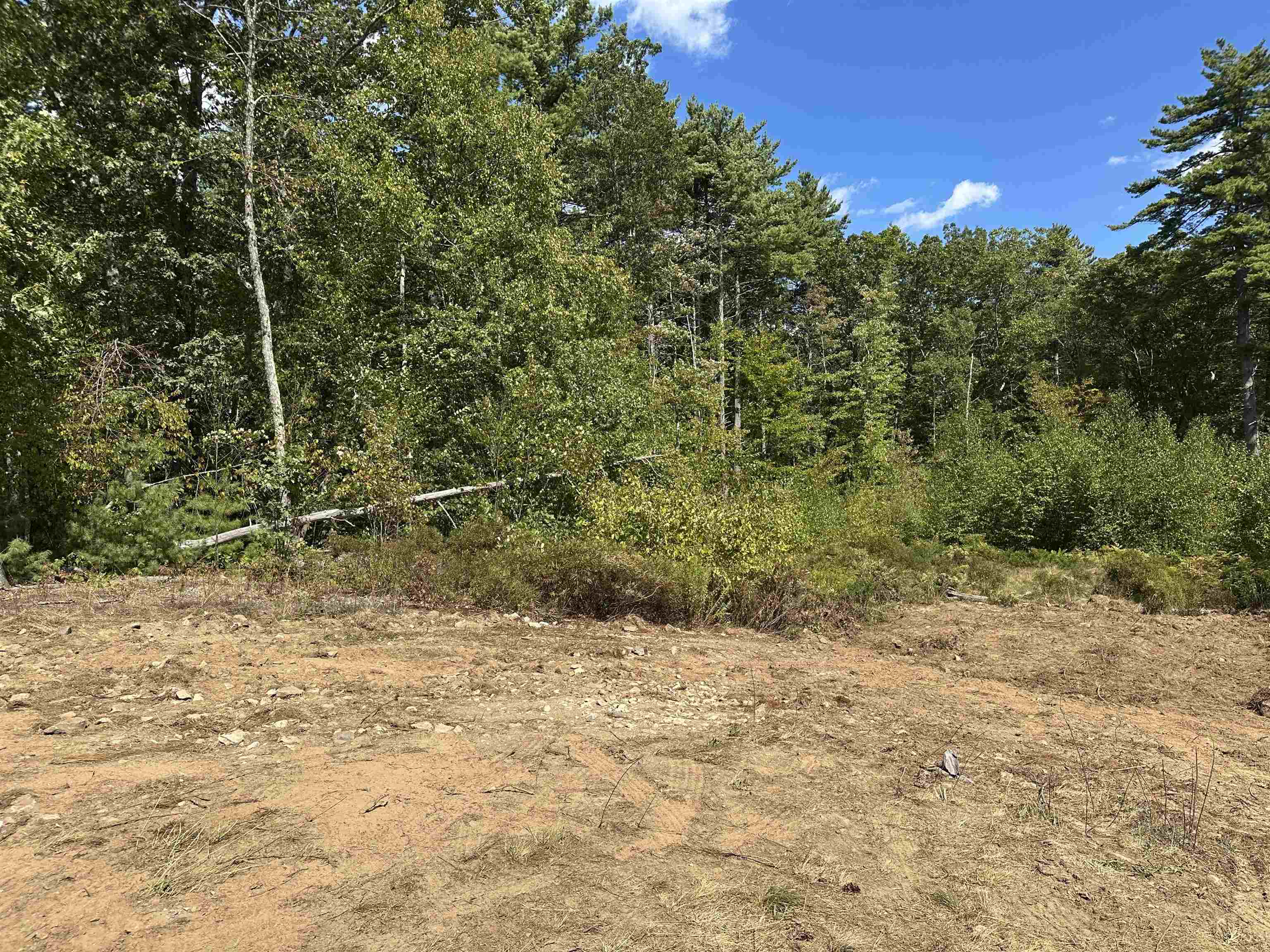58 Boxwood Drive