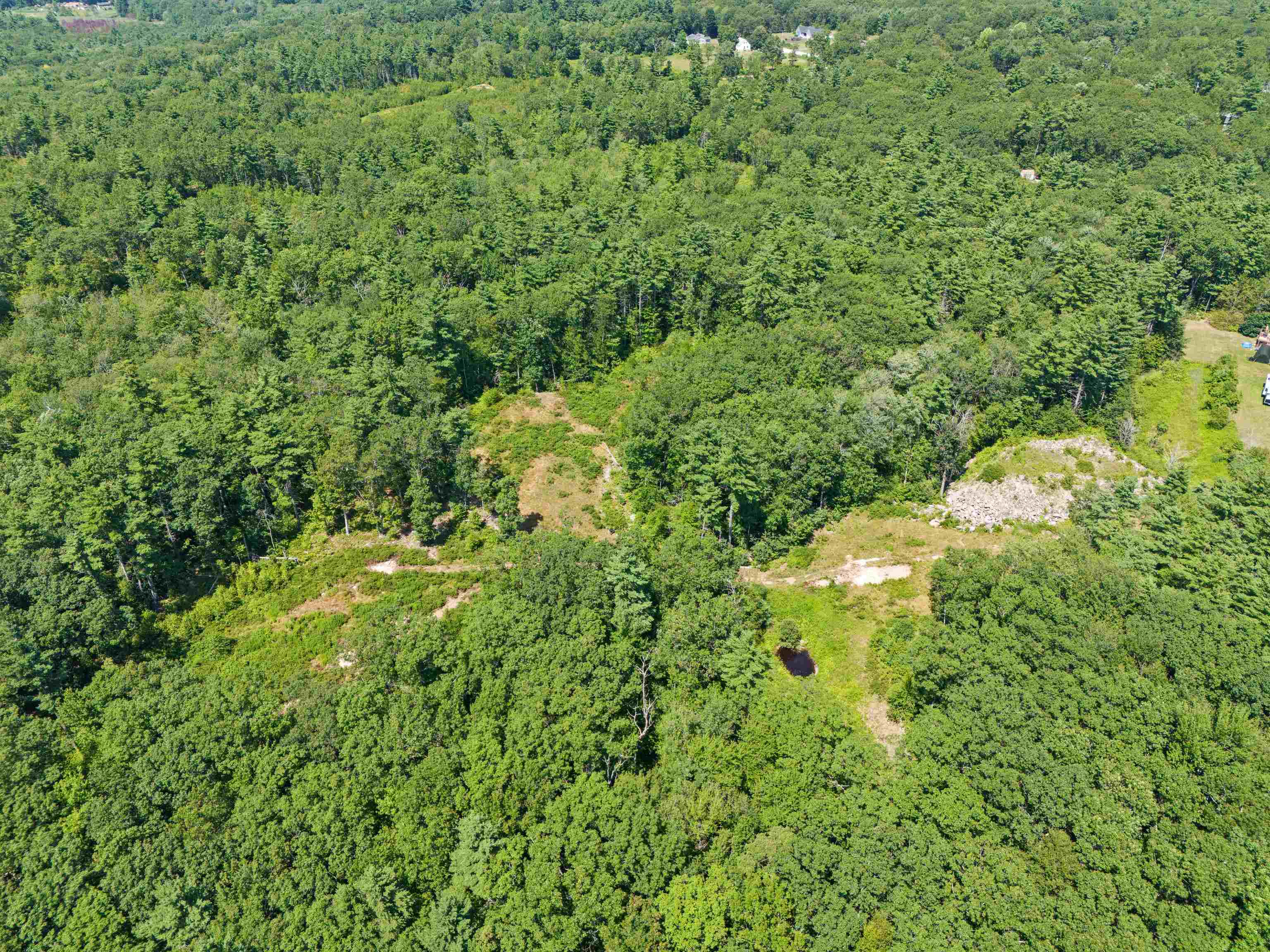 58 Boxwood Drive