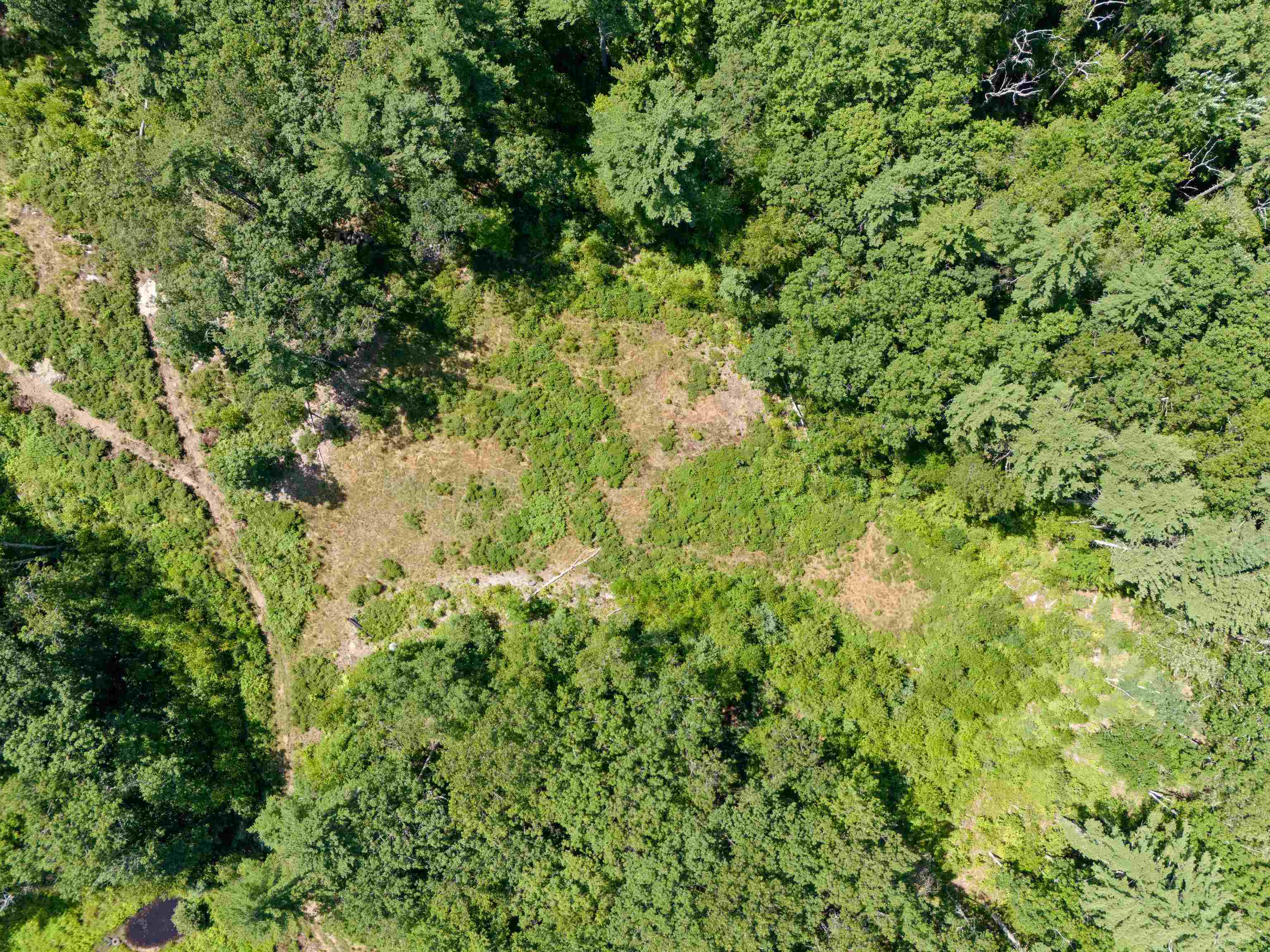 58 Boxwood Drive