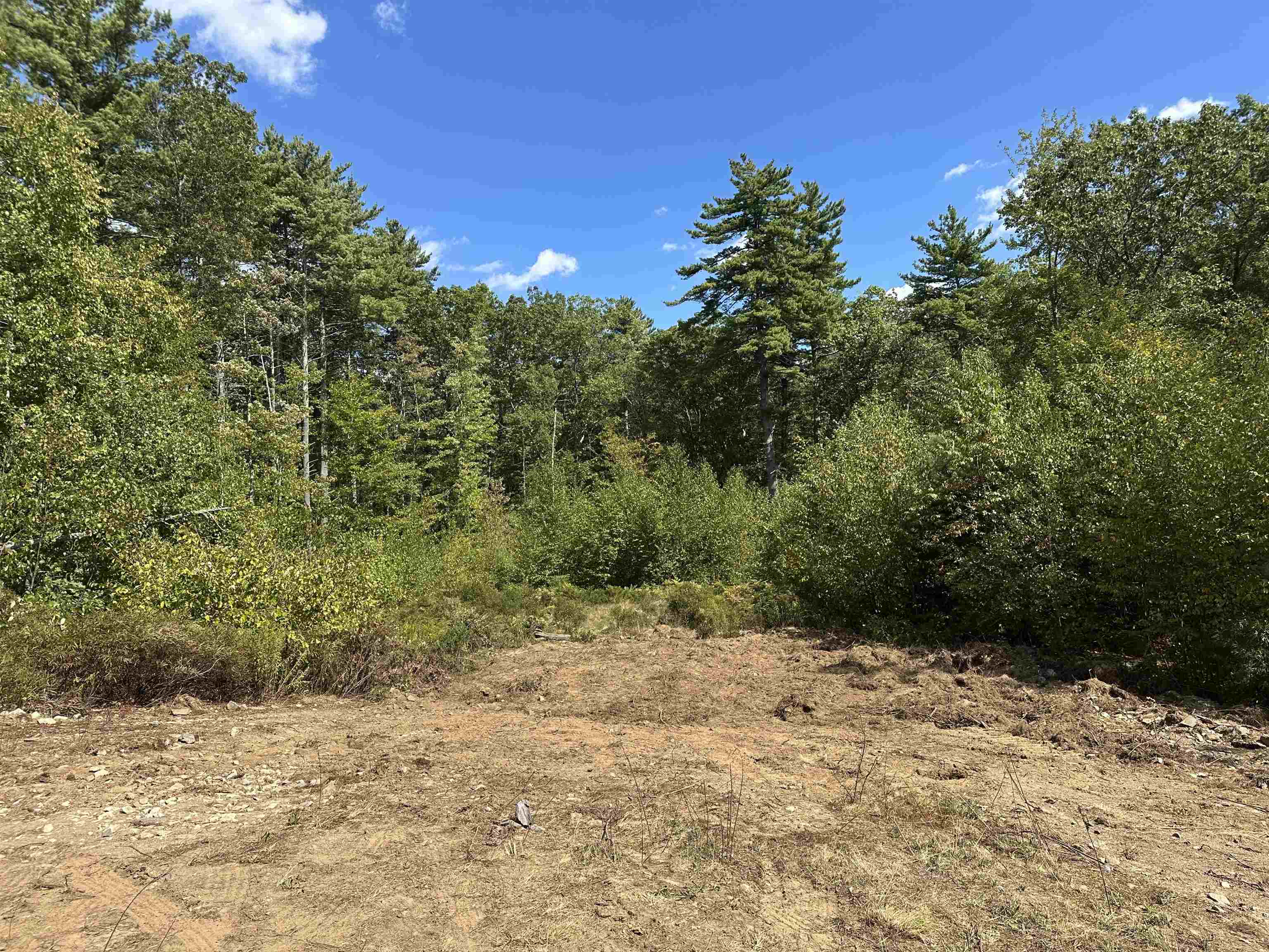 58 Boxwood Drive