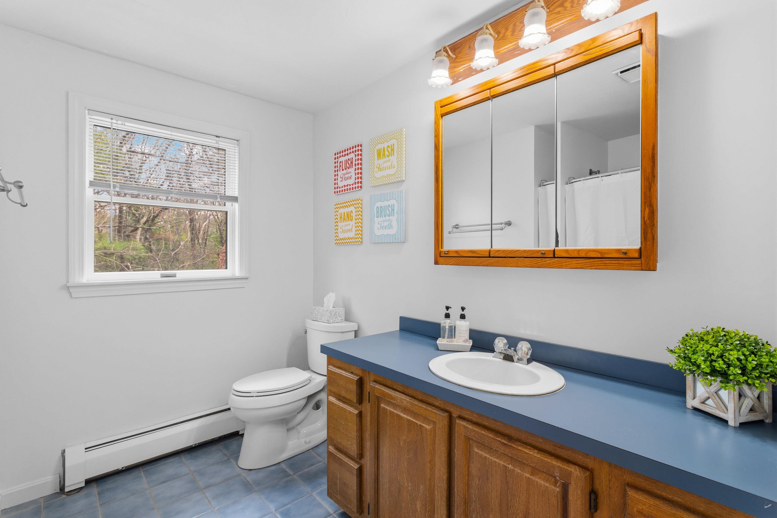 41 Windsor Boulevard