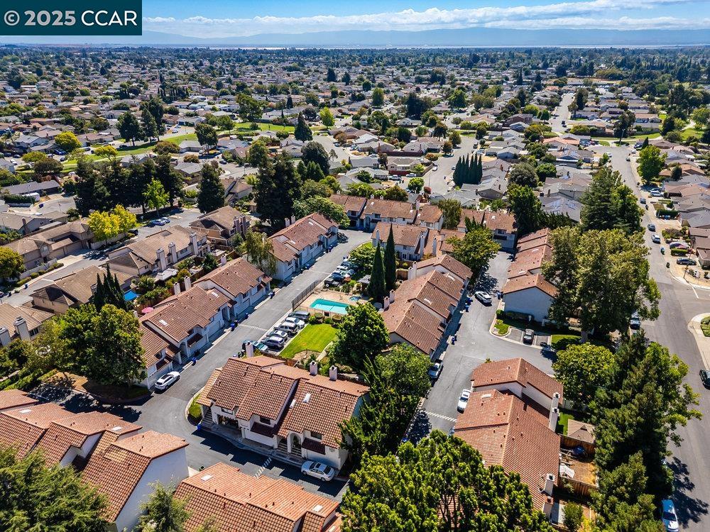 35624 McCarty Common