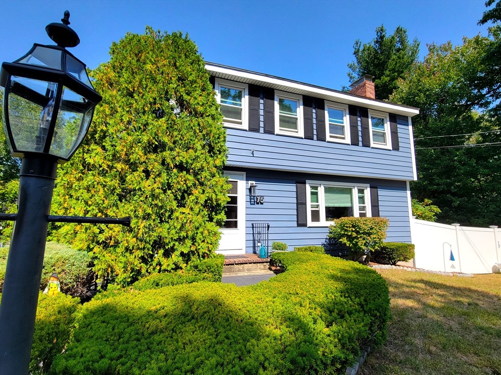 75 Brown St