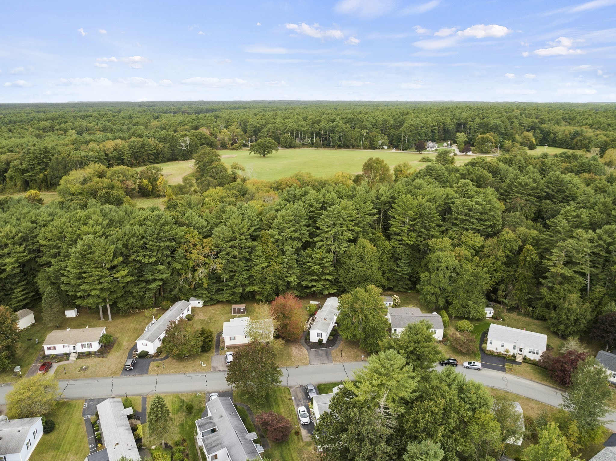 25 Mountain Ash Dr.