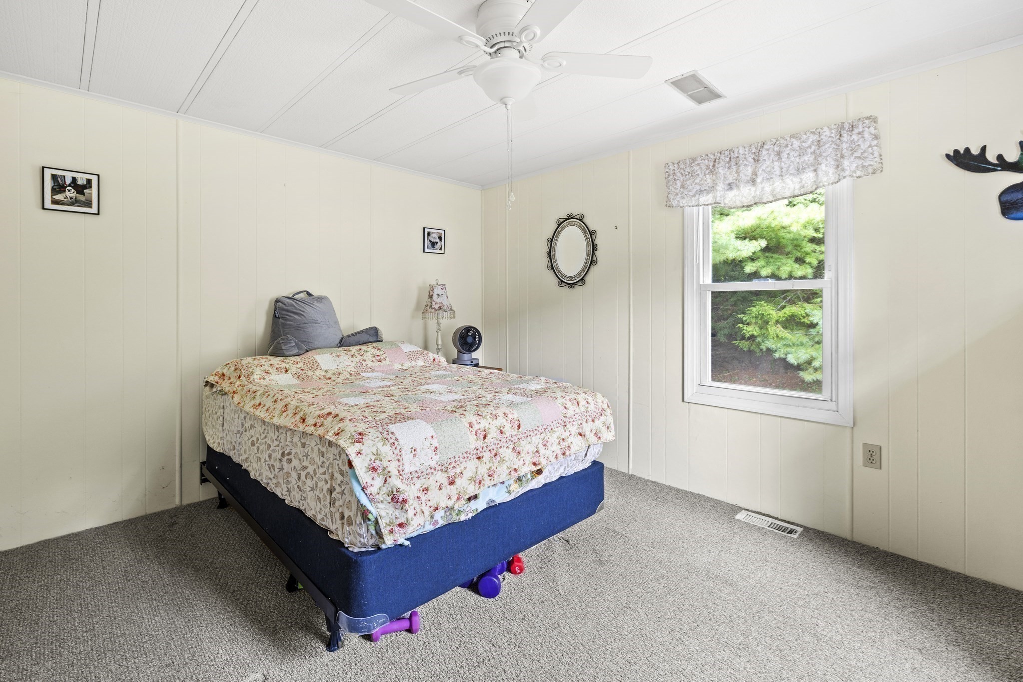 25 Mountain Ash Dr.