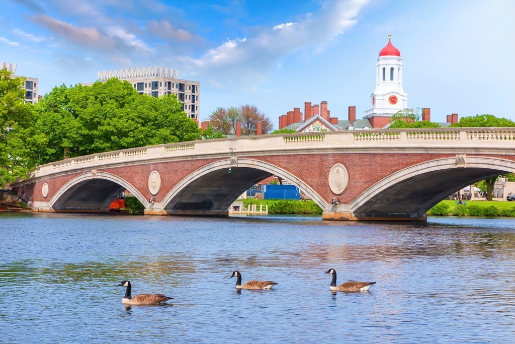 8 Franklin Street # 202, Boston Unit: 202