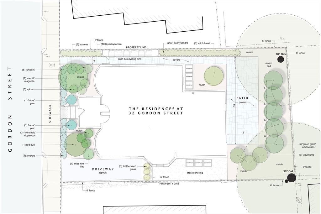 556 Cambridge/32 Gordon Package