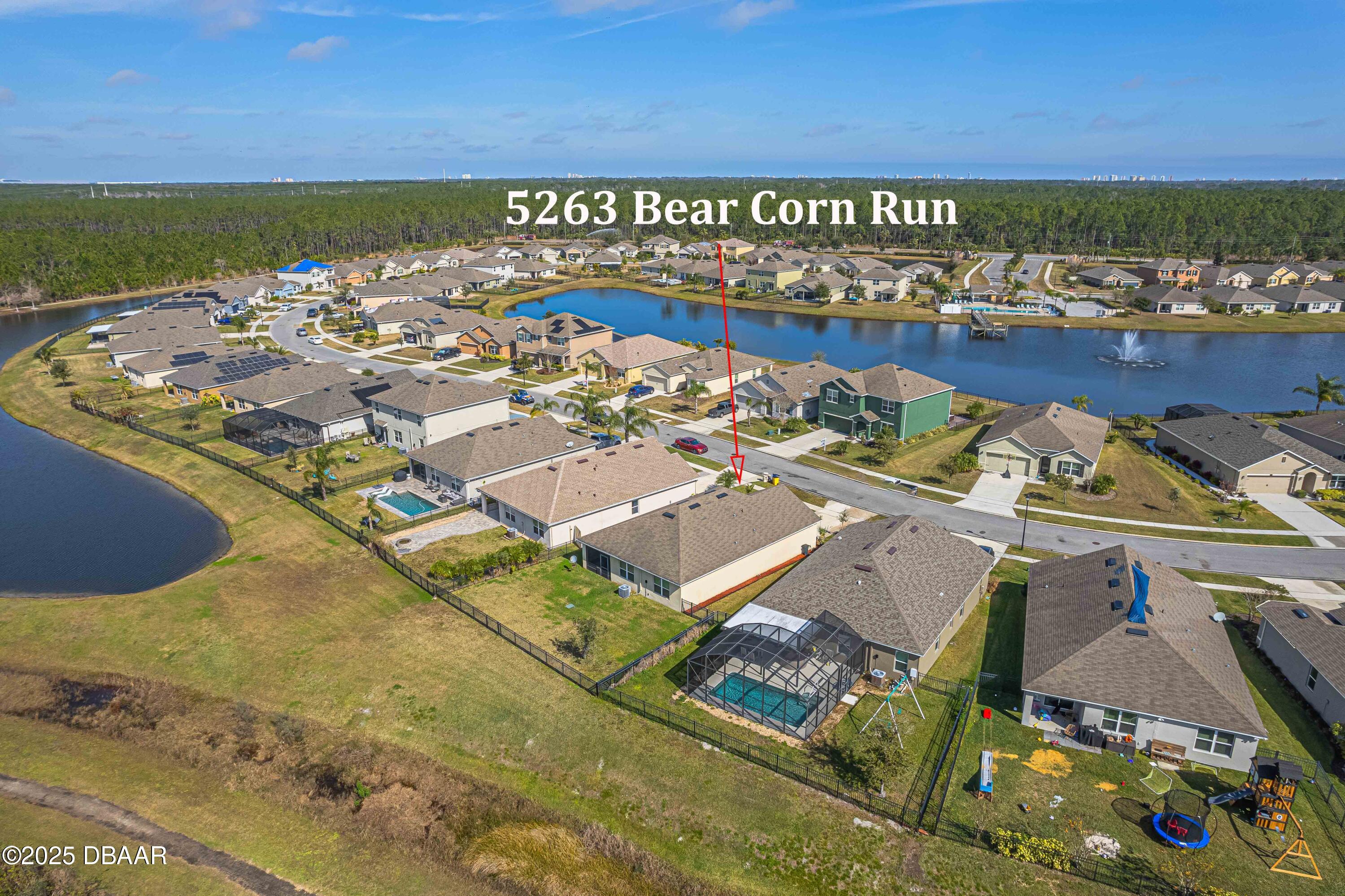 5263 Bear Corn