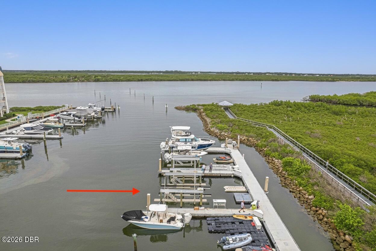 Waterfront marina with boats and docks beside a mangrove shoreline; a red arrow points toward the slips.