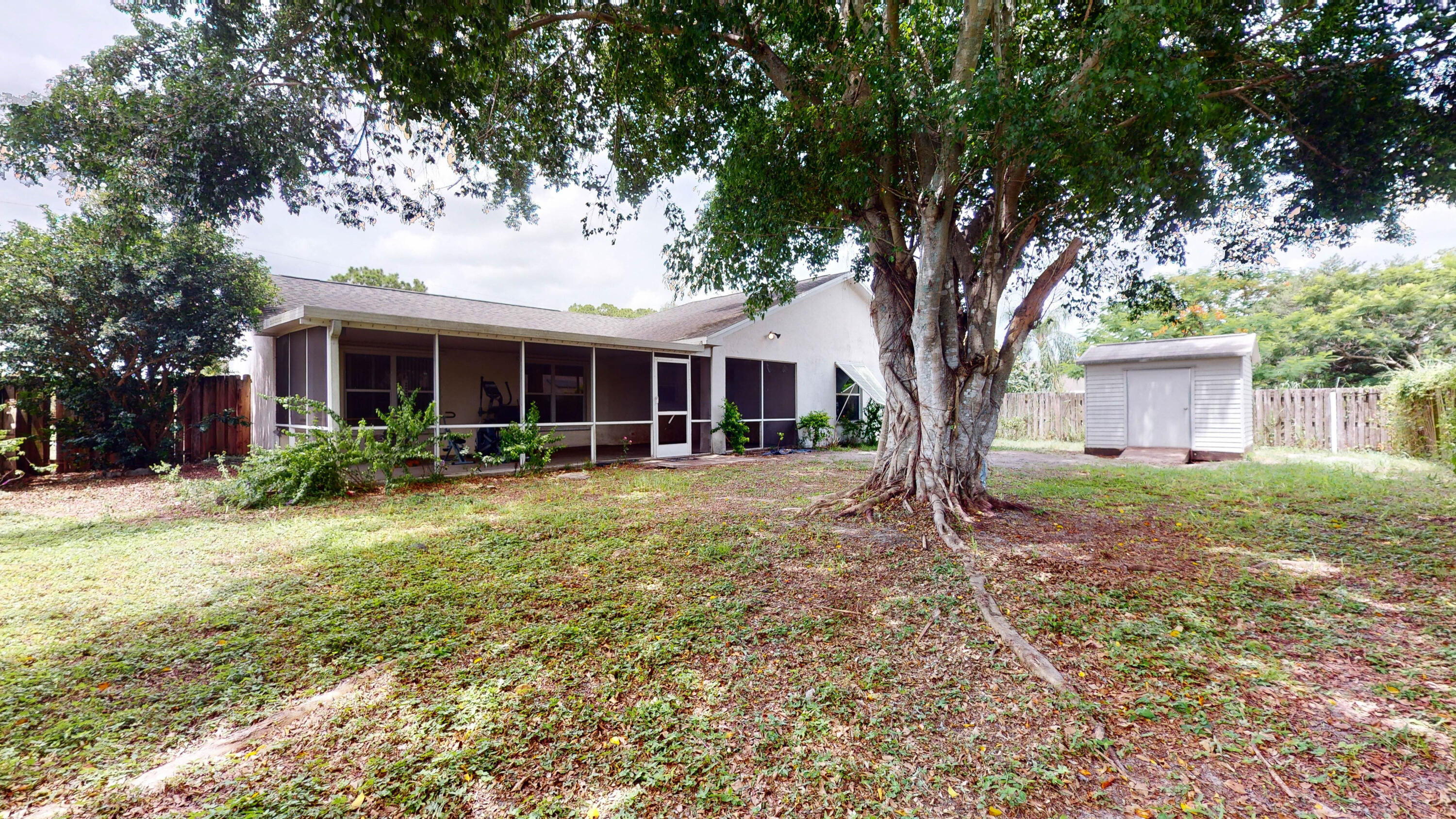 Home’s screened rear patio and backyard, with a large tree and detached shed.