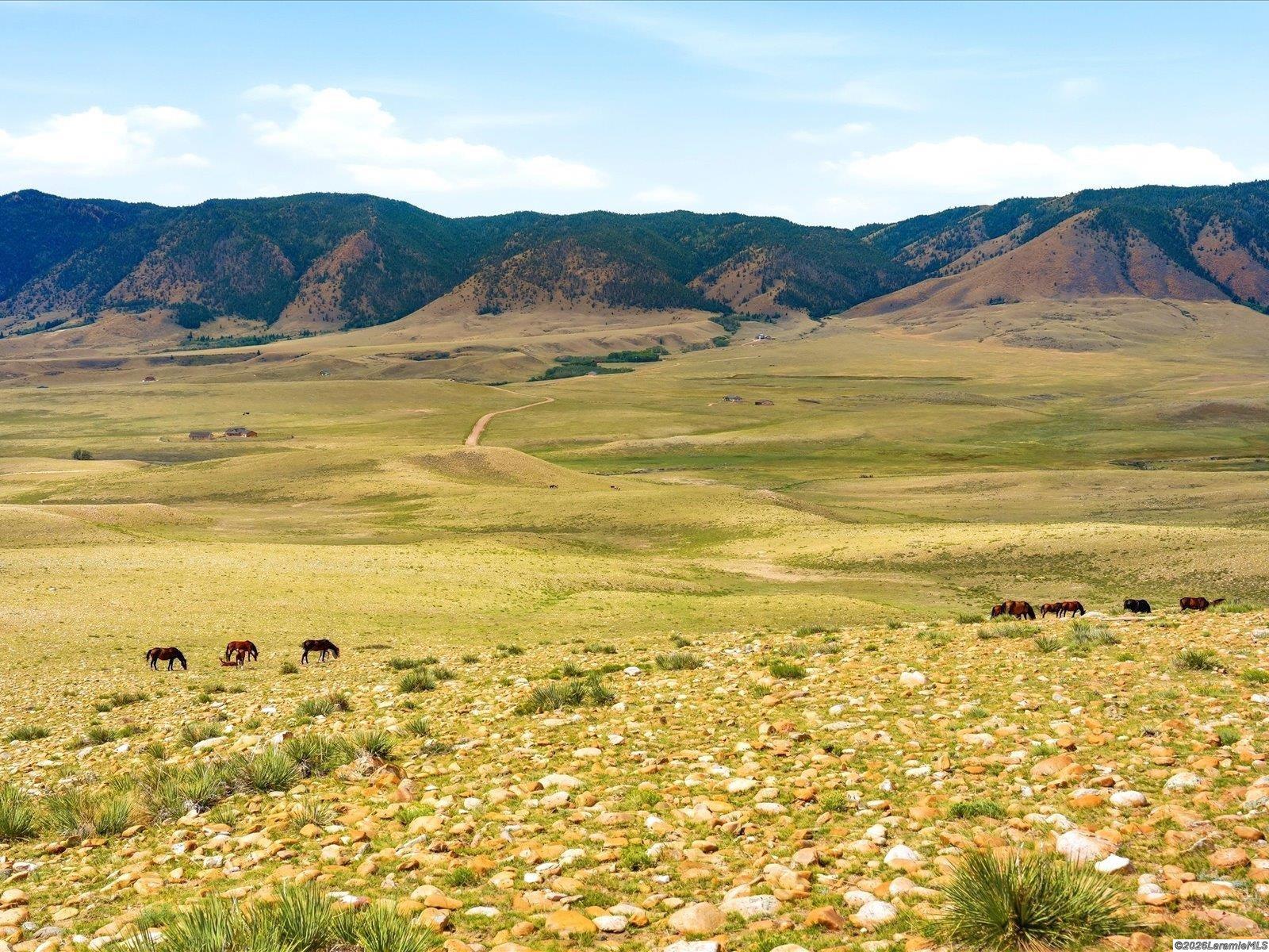 TBD Wild Horse Ranch Rd