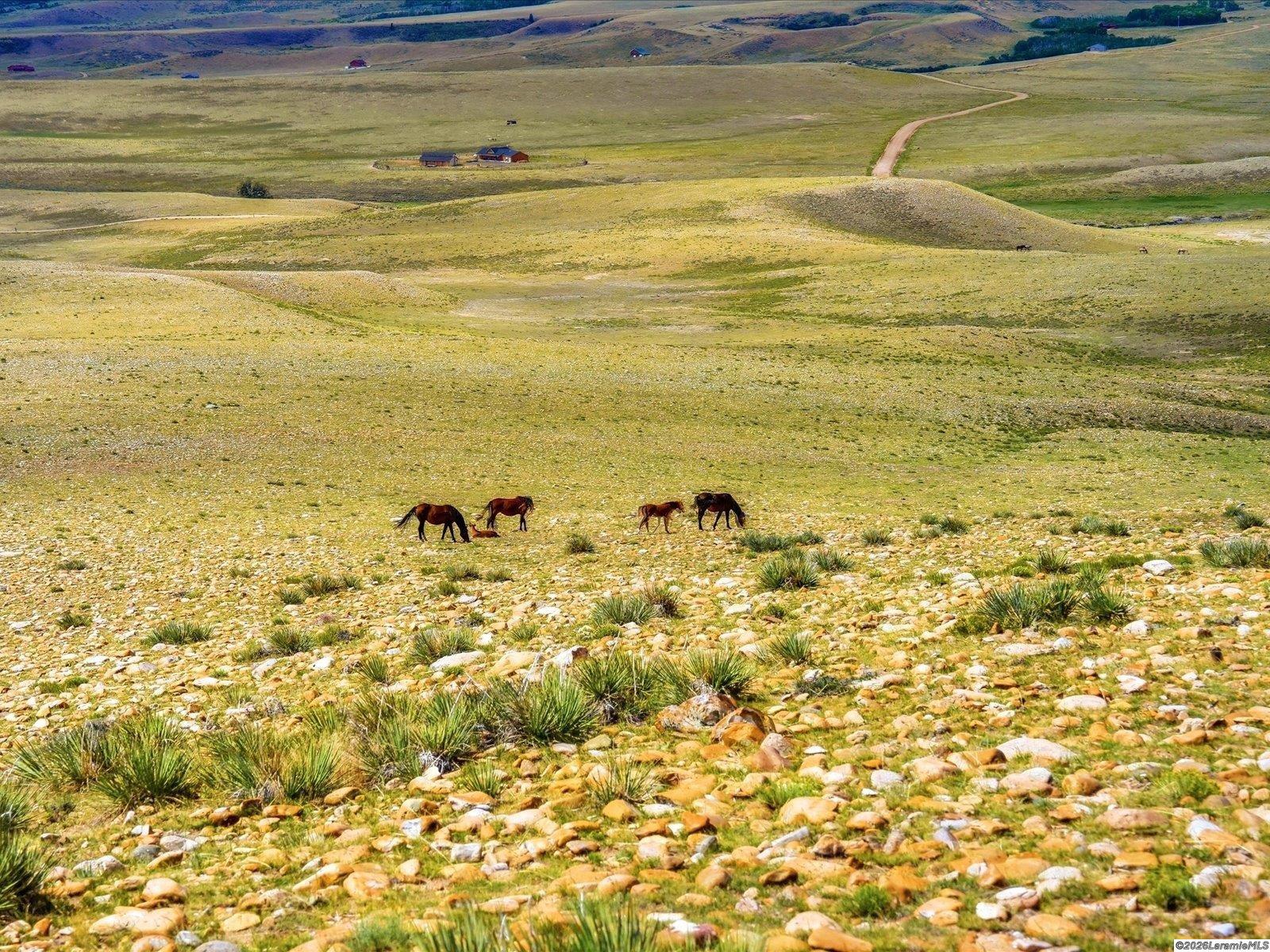 TBD Wild Horse Ranch Rd