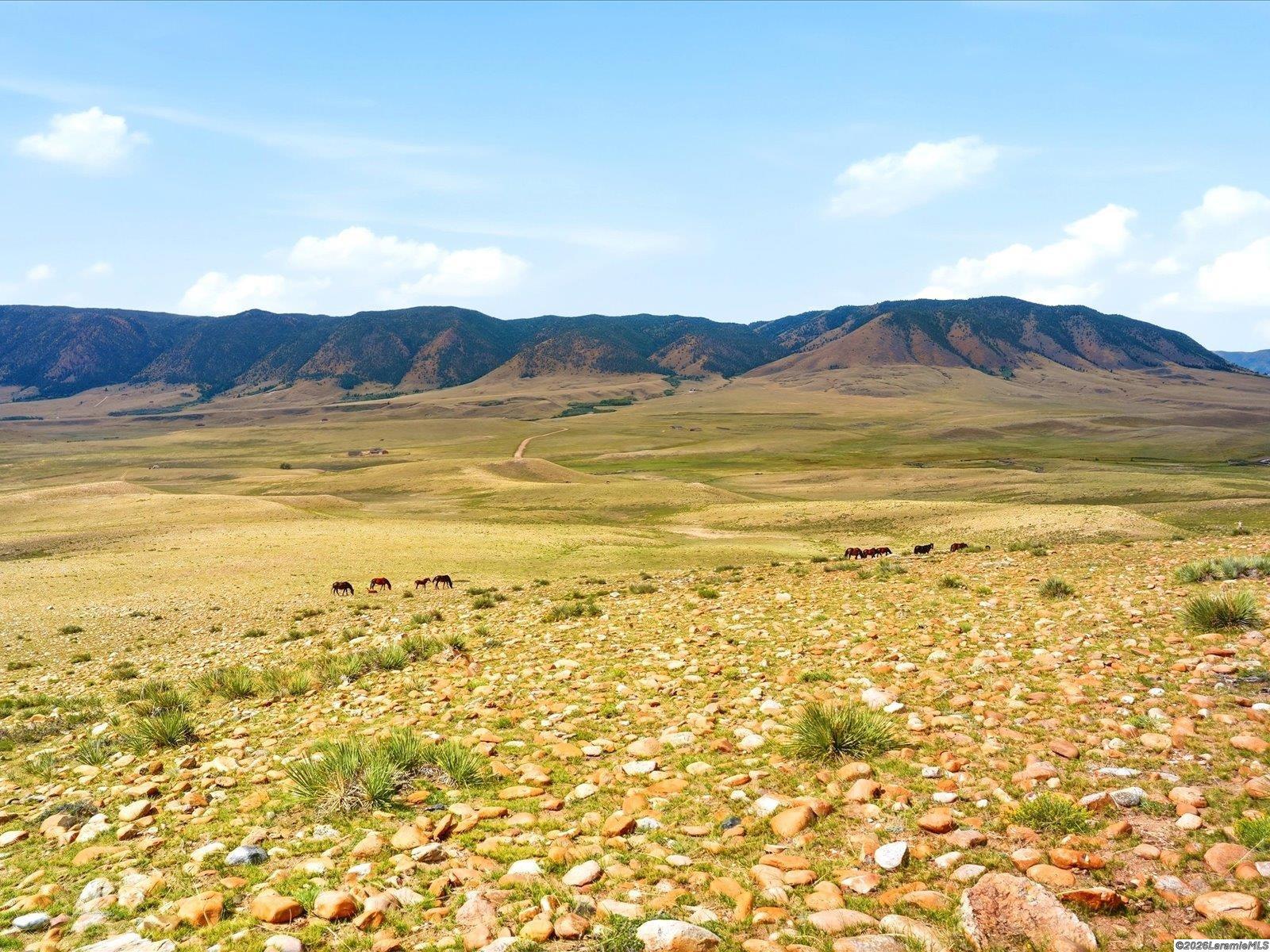 TBD Wild Horse Ranch Rd