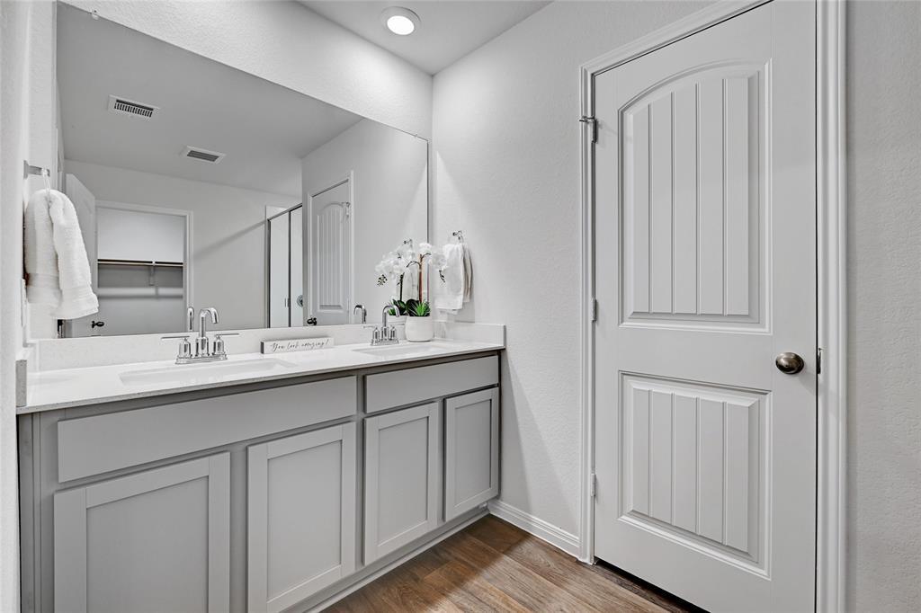 295 Evergreen Sumac LOOP