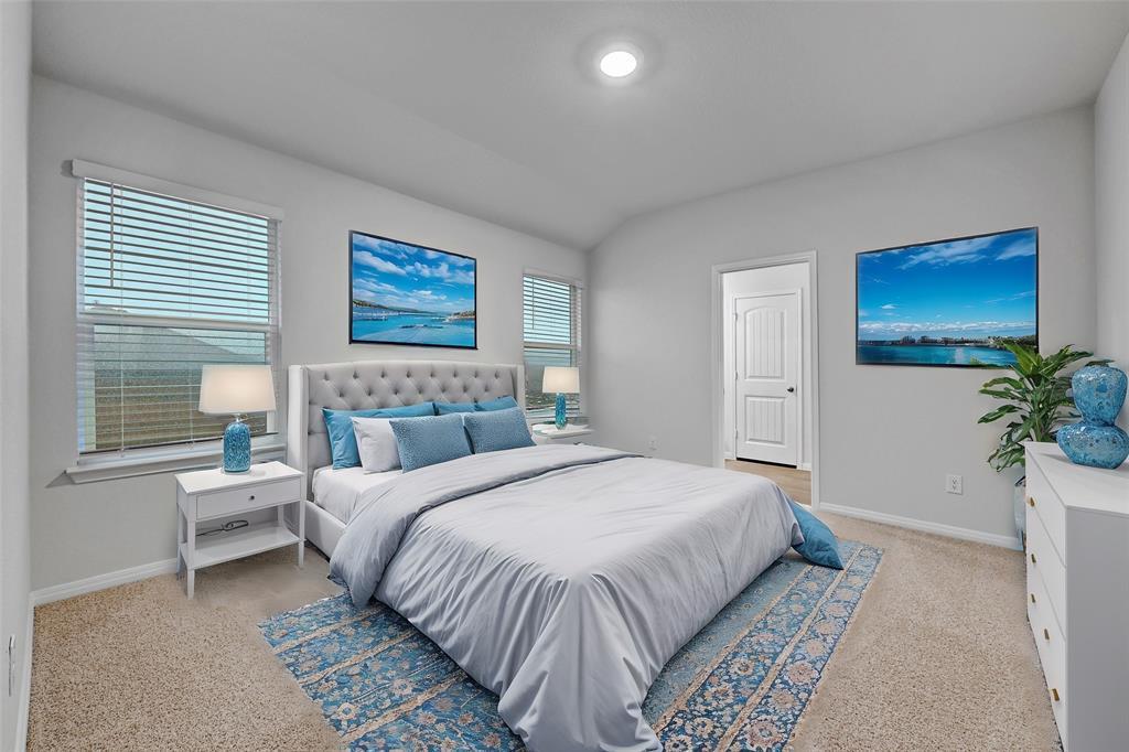 295 Evergreen Sumac LOOP