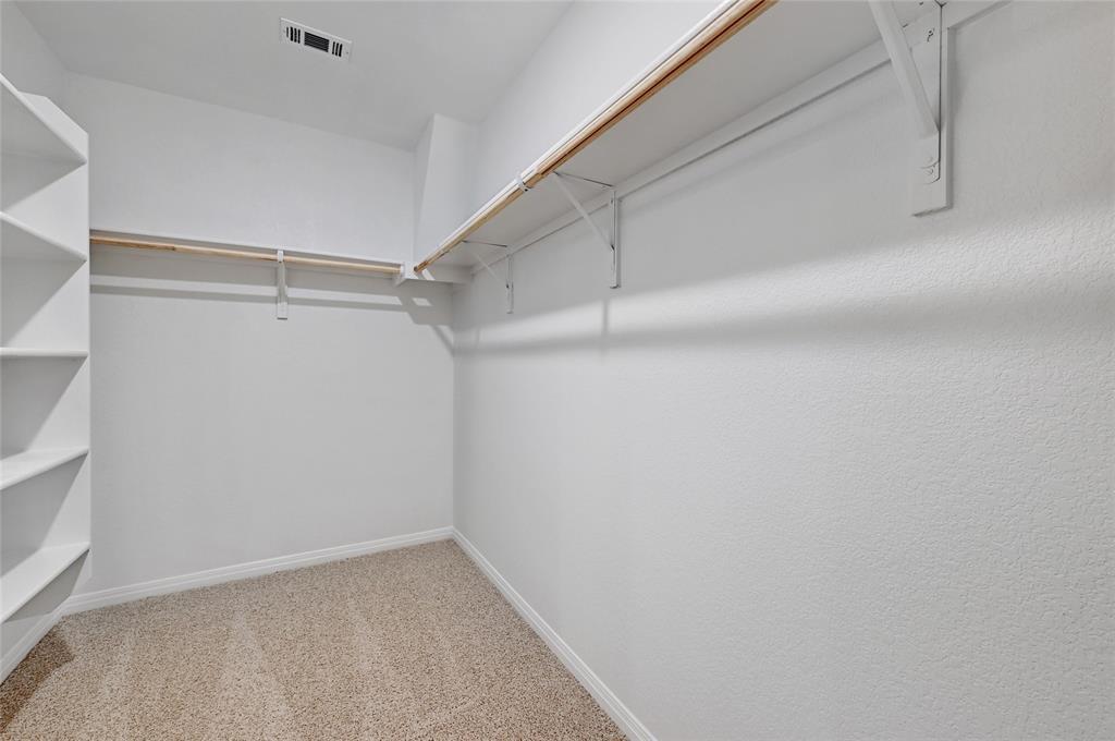 295 Evergreen Sumac LOOP