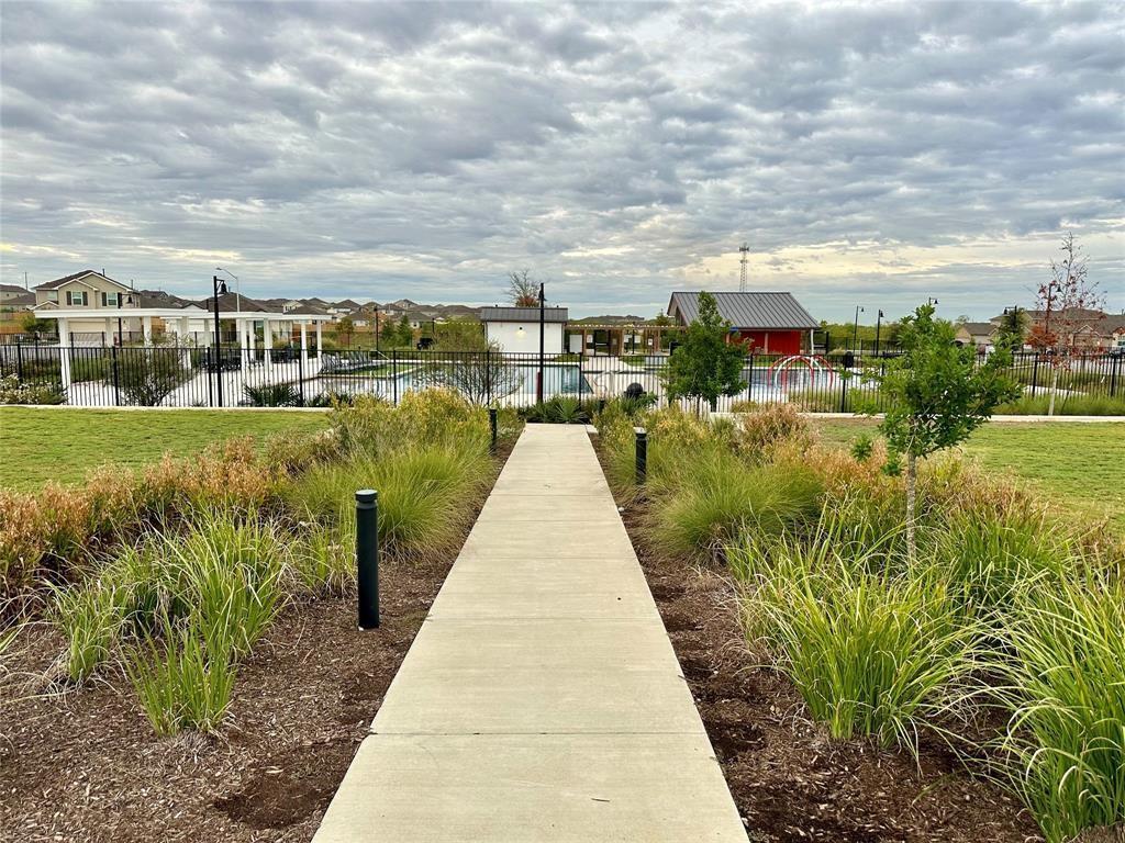 295 Evergreen Sumac LOOP