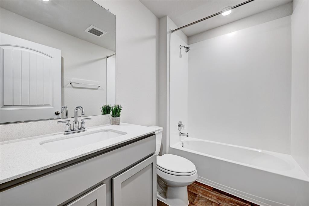 295 Evergreen Sumac LOOP